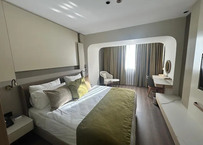 Ξενοδοχείο Buyuk Saruhan